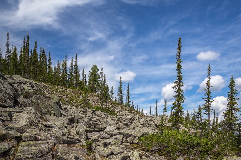 Фотография автора Елена Баврина
