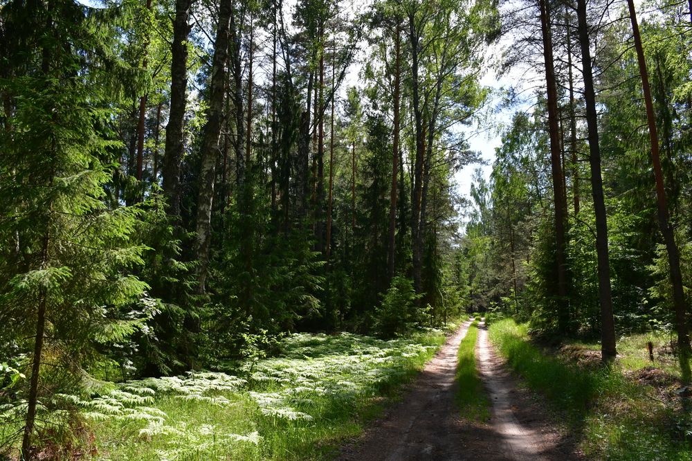 Photograph by Евстигнеев Евгений Васильевич