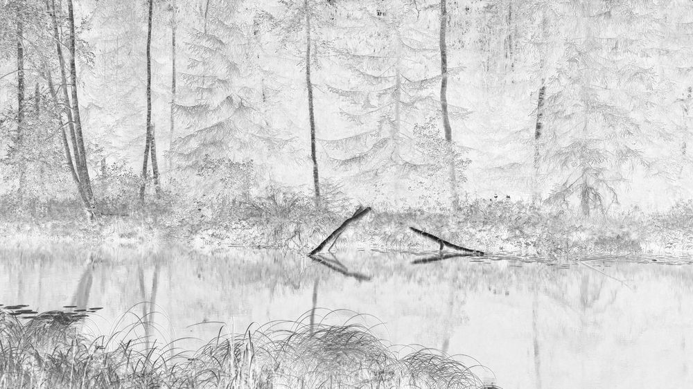 ЭСКИЗЫ ПРИРОДЫ