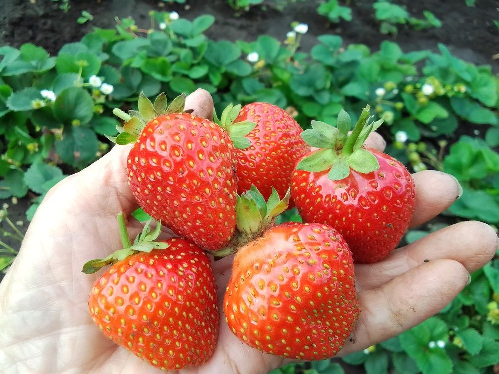 Photograph by Лилия Исхакова