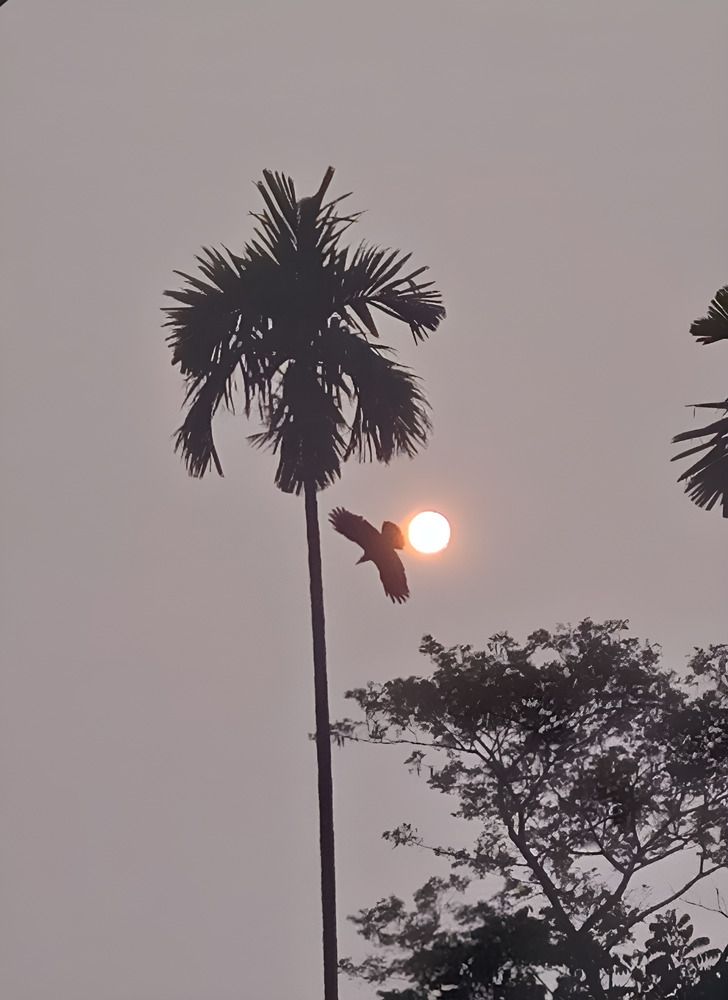 Photograph by Sharif