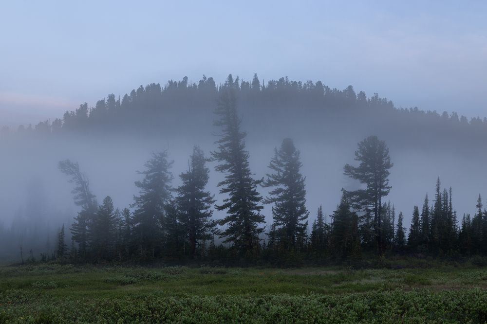 Фотография автора Елена Баврина
