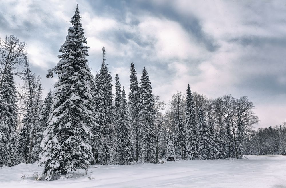 Фотография автора Елена Баврина