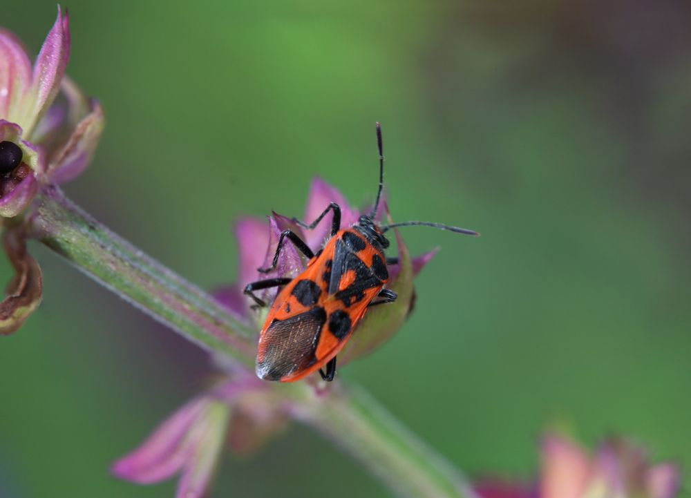 Photograph by Светлана Попкова