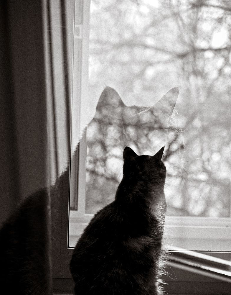 Фотография автора Агапова Арина