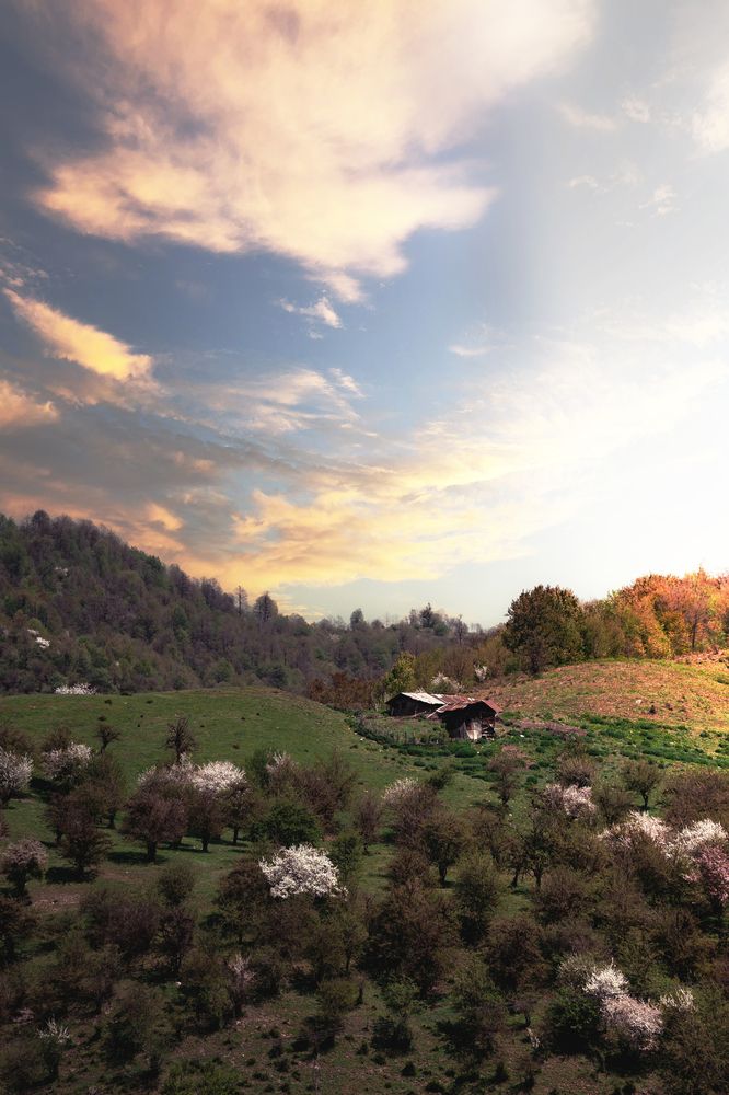 Photograph by mohamad khodami