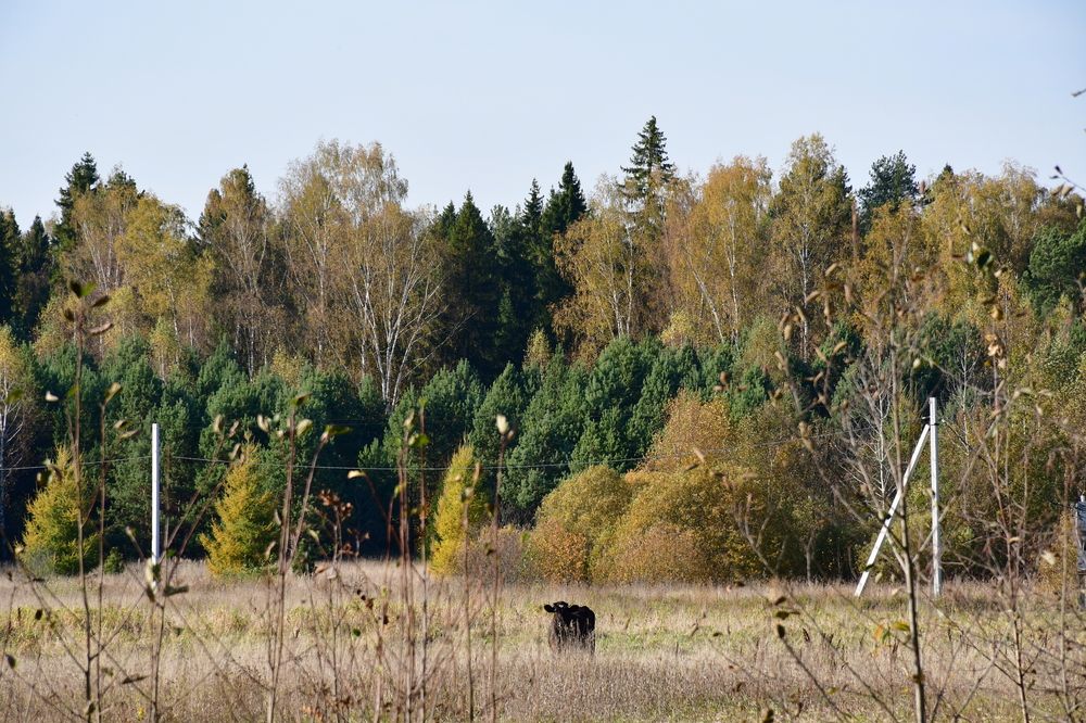 Photograph by Евстигнеев Евгений Васильевич