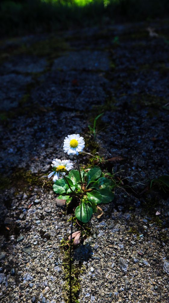 Photograph by Никита Нечаев