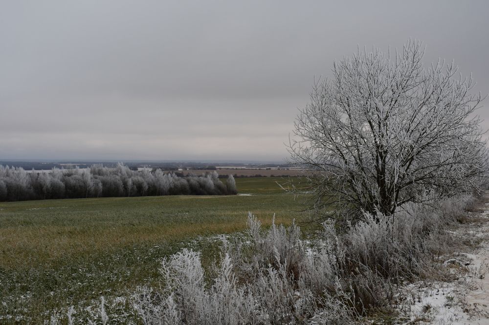 Photograph by Евстигнеев Евгений Васильевич
