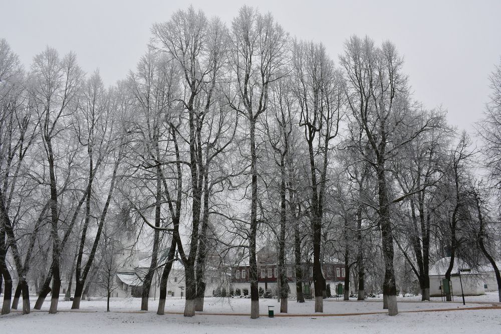 Photograph by Евстигнеев Евгений Васильевич