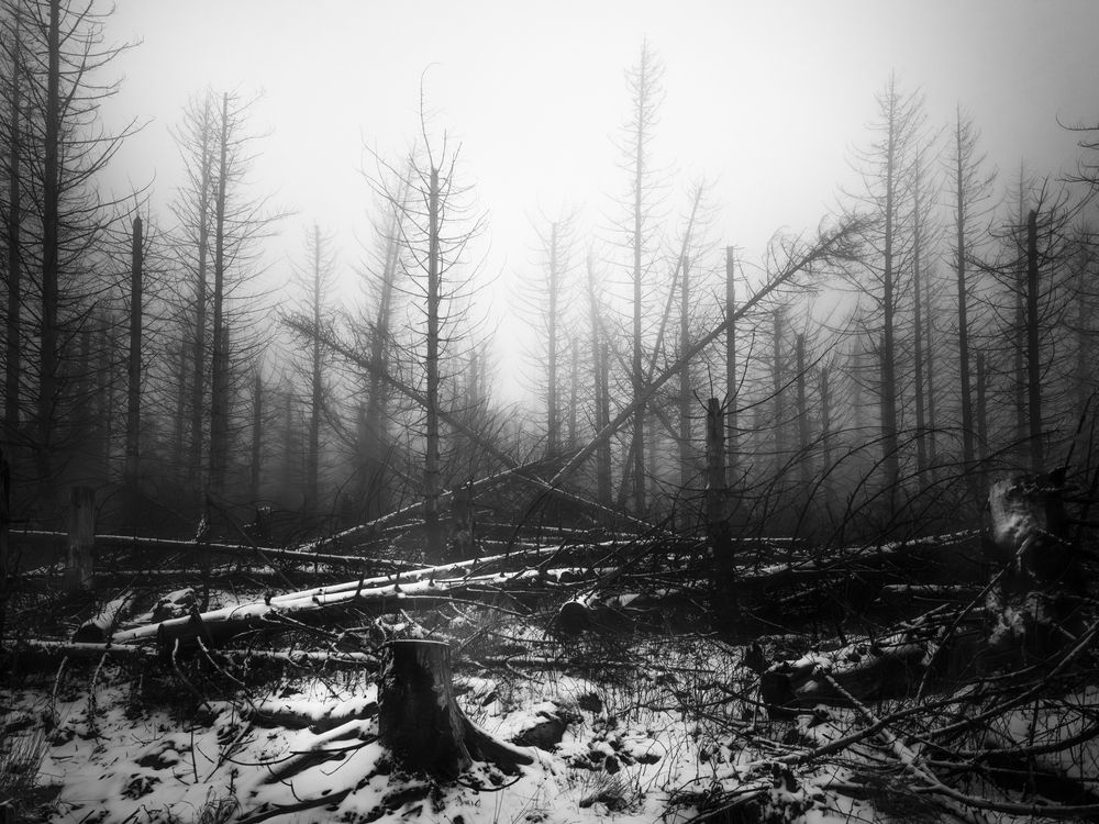 Photograph by Михаил Козлов