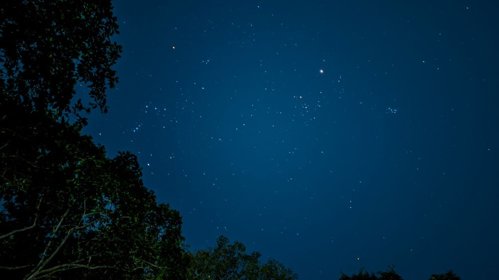 Photograph by nileydi Colmenarez