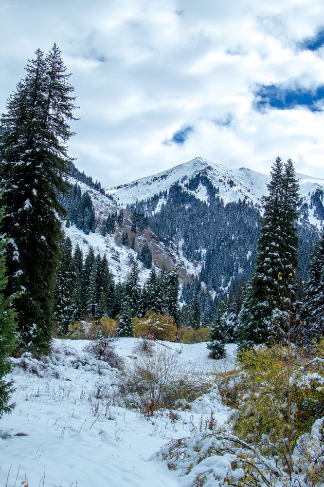 Photograph by Василика Кондратьева