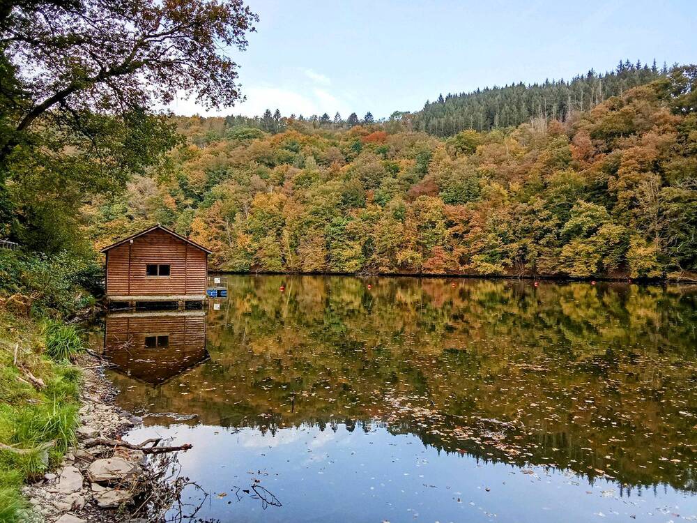 Фотография автора caroline martin (dony)