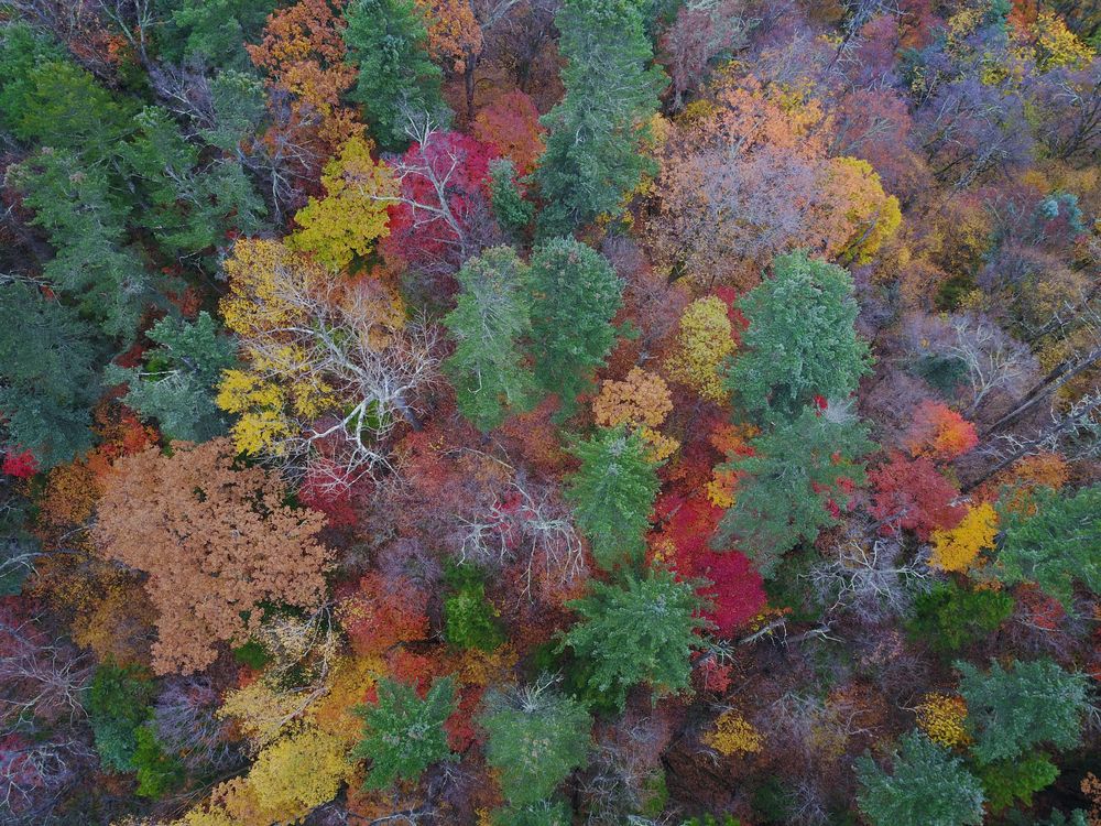 Photograph by Ольга Мусиенко