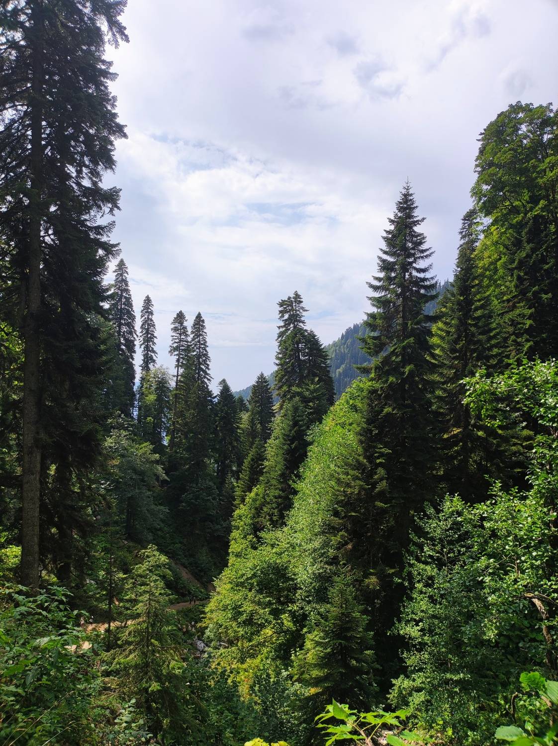 Photo #11842554