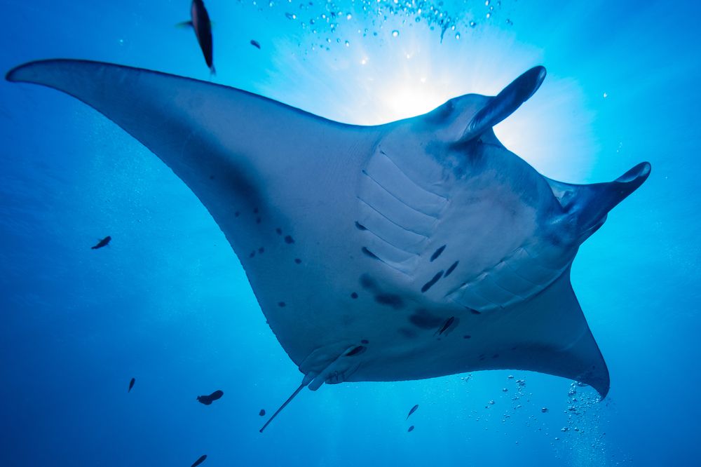 Photograph by gabriel vieira costa