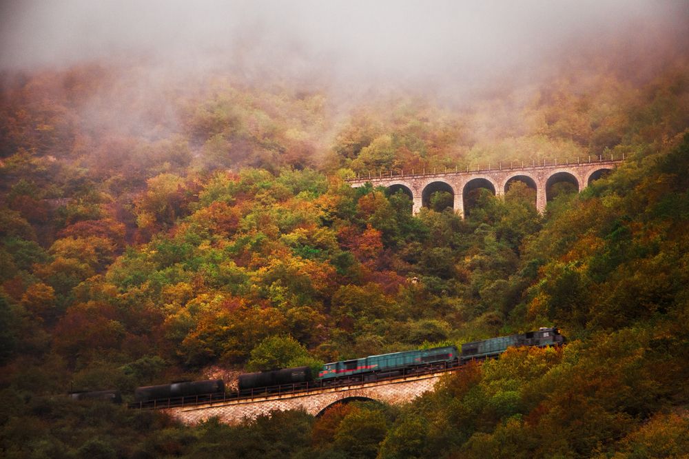 Photograph by mohamad khodami