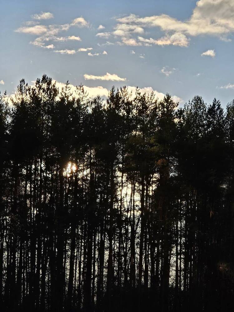 Photograph by Наталья Трапезникова