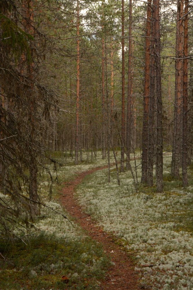 Photograph by Наталья