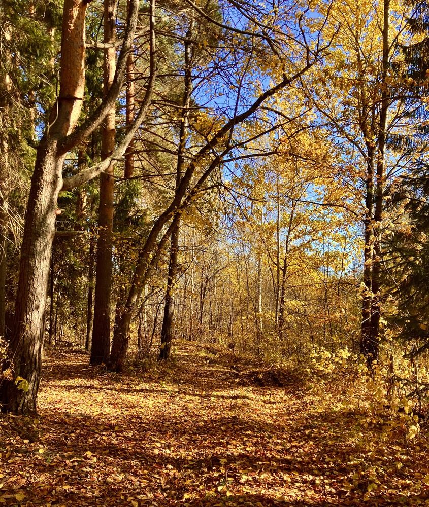 Photograph by Ирина