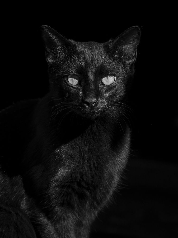 Photograph by Георгий Акопджанов