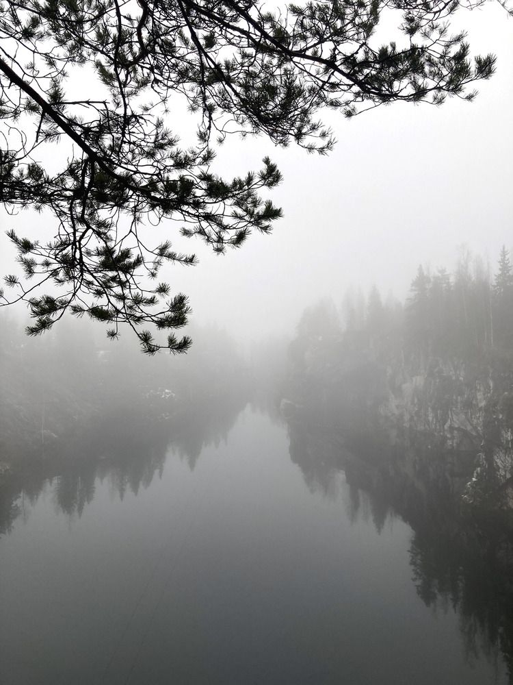 Туманный ноябрь