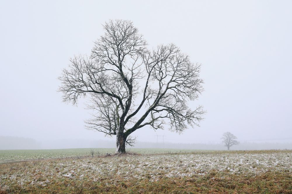 Photograph by Eizenija Freimane