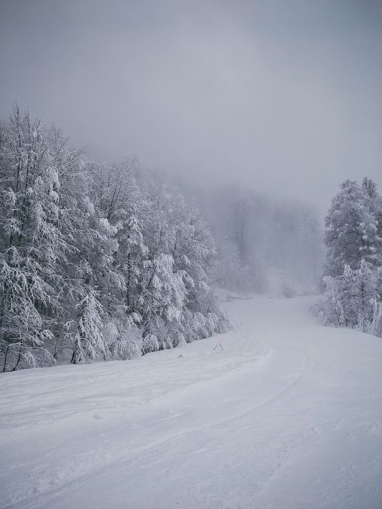 Photograph by Наталья Гришаева