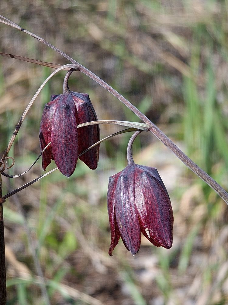Photograph by Вадим Богатиков