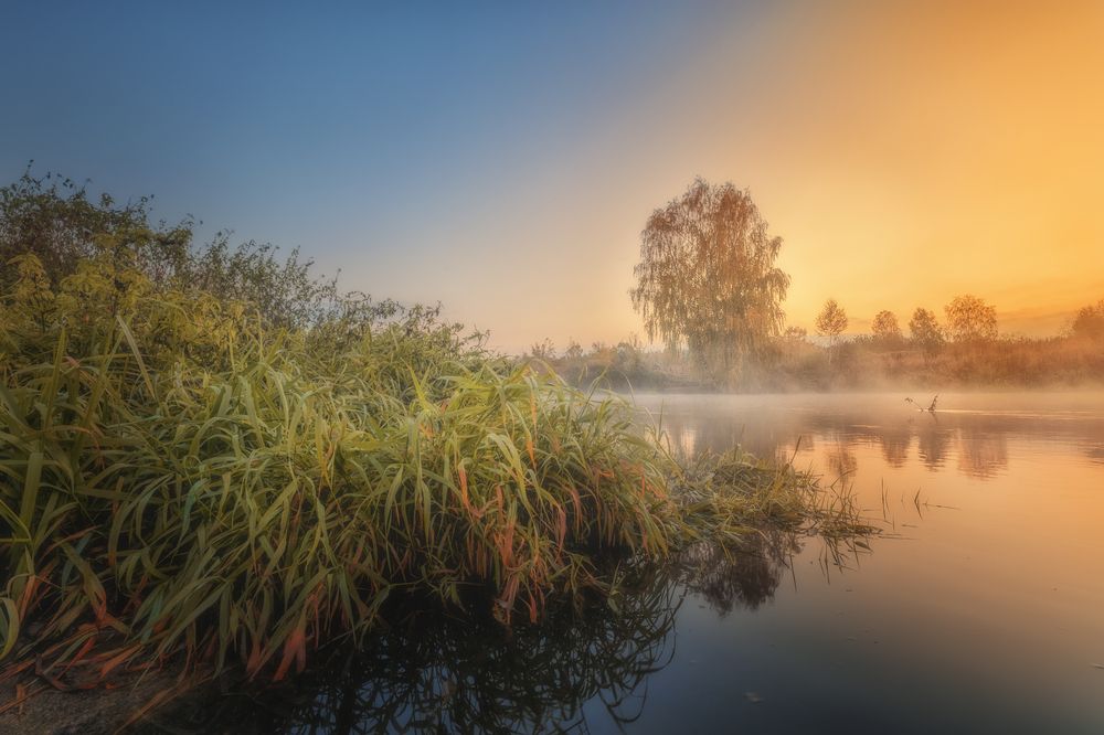 Photograph by Роман Филиповец