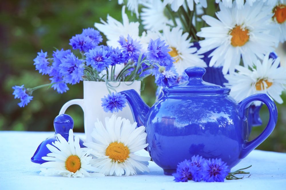 Фотография автора Ольга