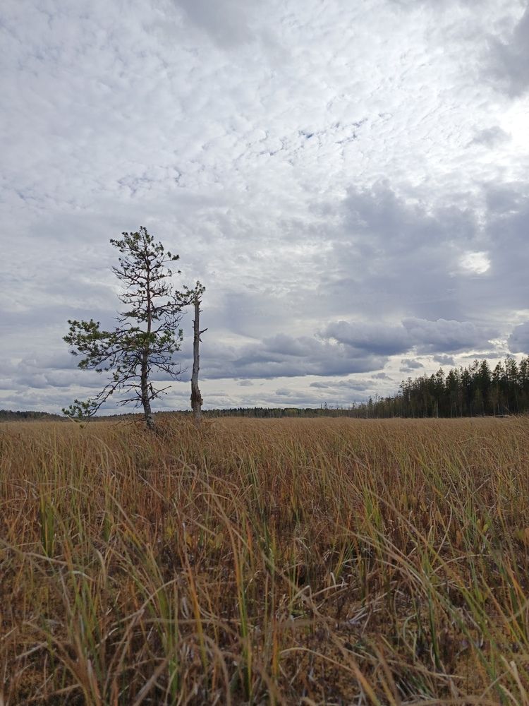 Photograph by Ольга Рубцова