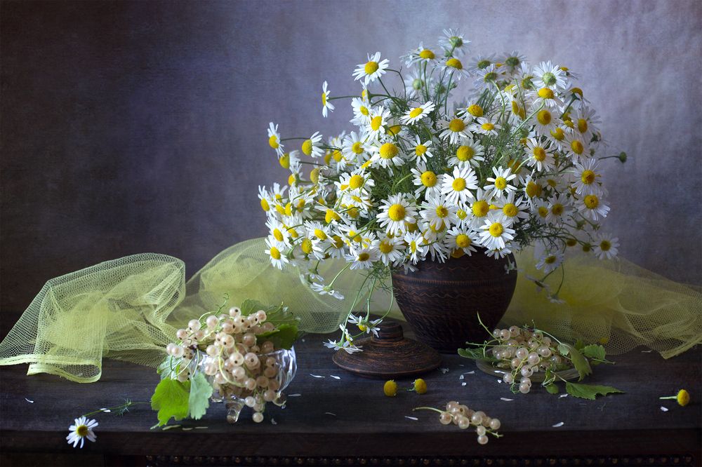 Photograph by Миронова Мила