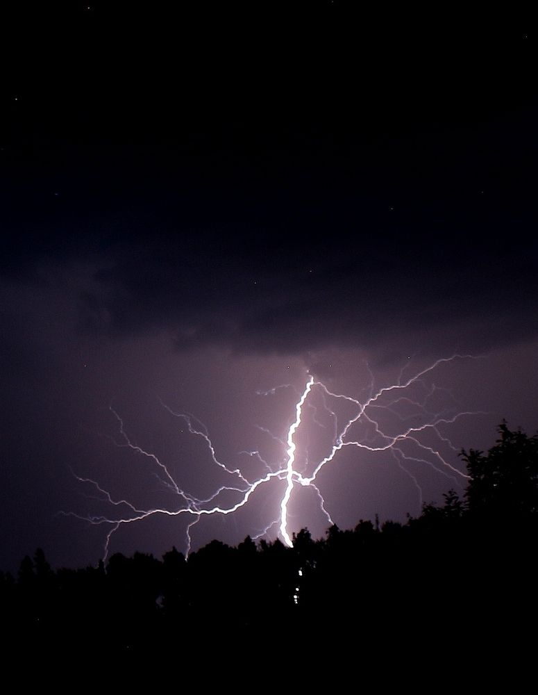 Фотография автора Ольга