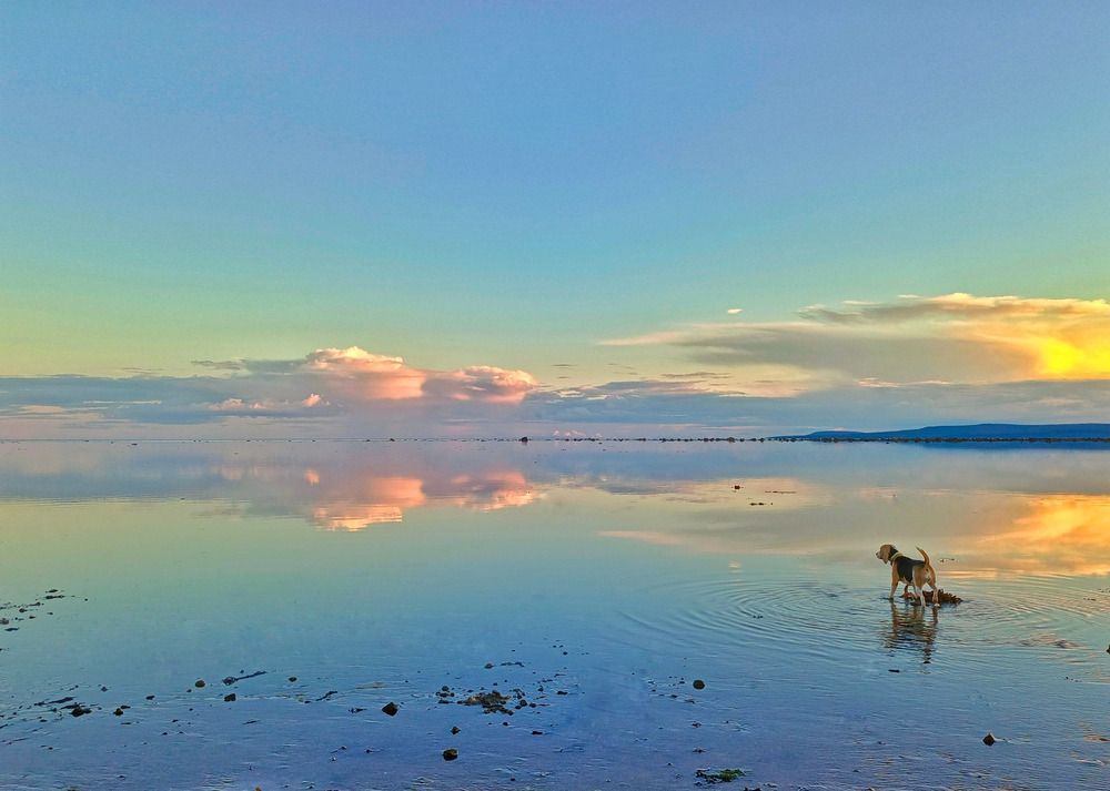 Photograph by Мария Воронцова