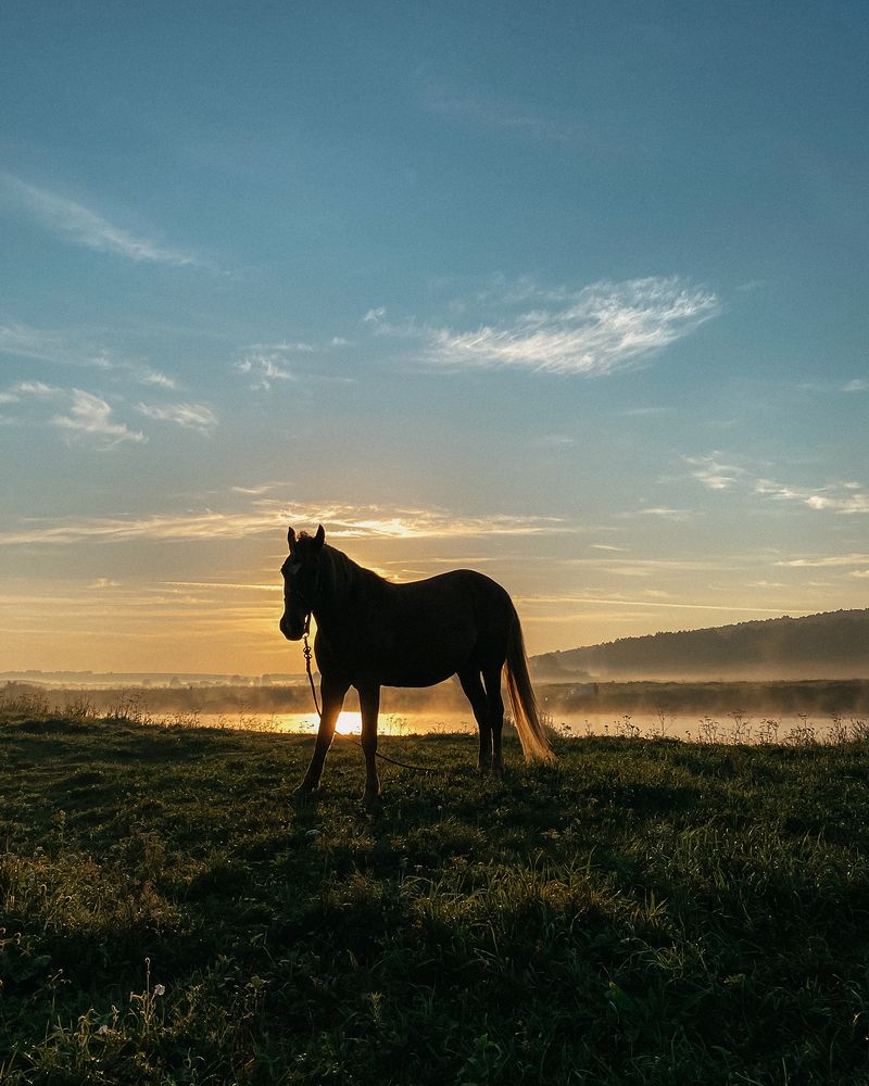 Photograph by Плаксимова Ульяна