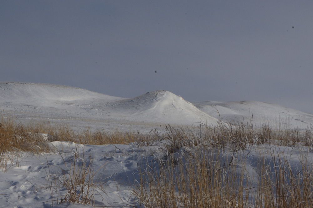 Фотография автора Светлана Громова
