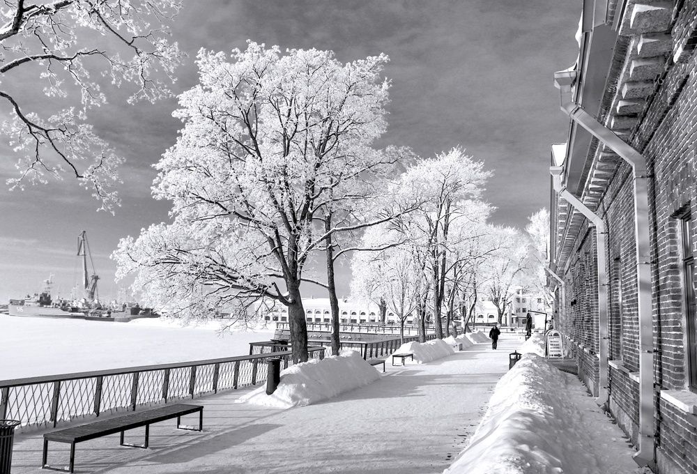 Photograph by Сергей Григорьев