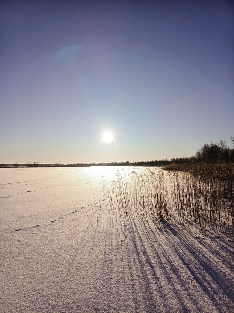 Photograph by Ольга Рубцова
