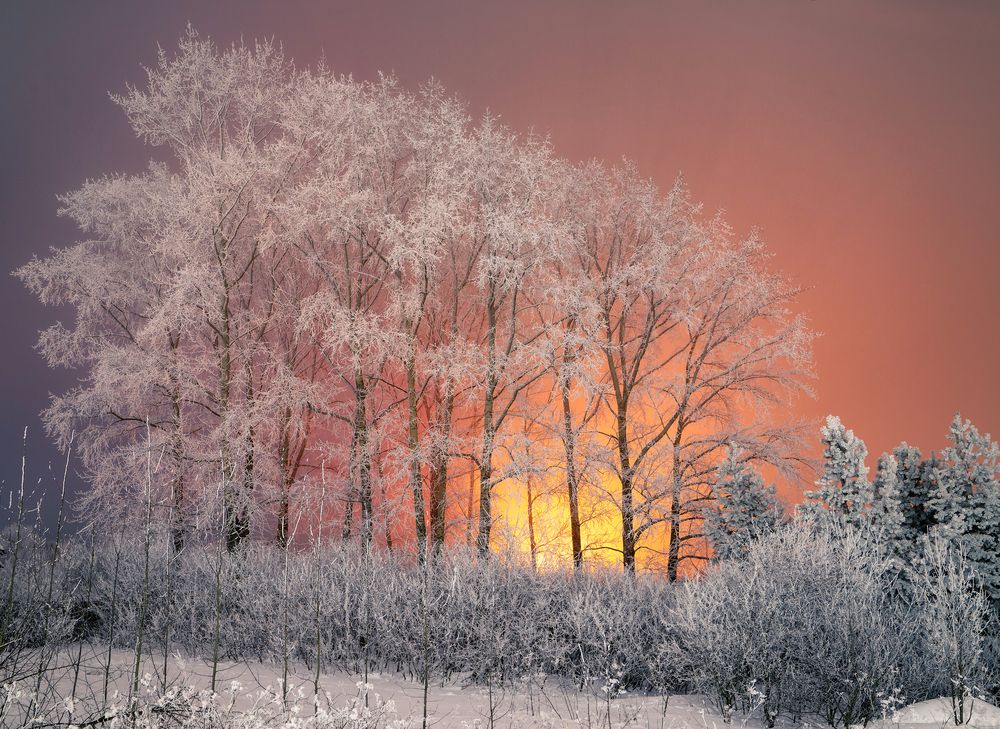 Photograph by Старцев Андрей