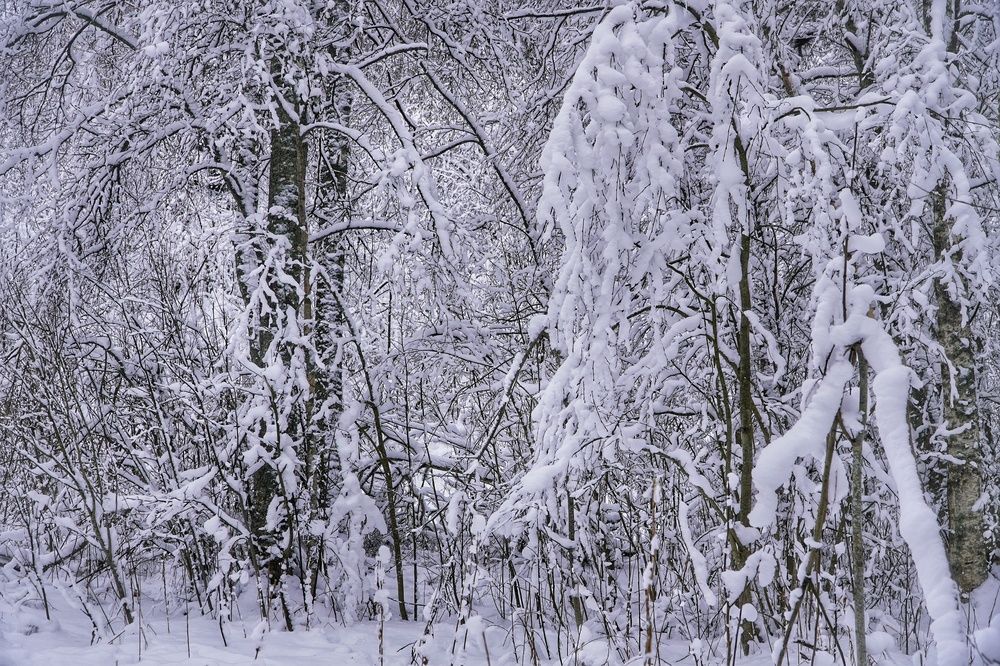Photograph by Марина Безенкина