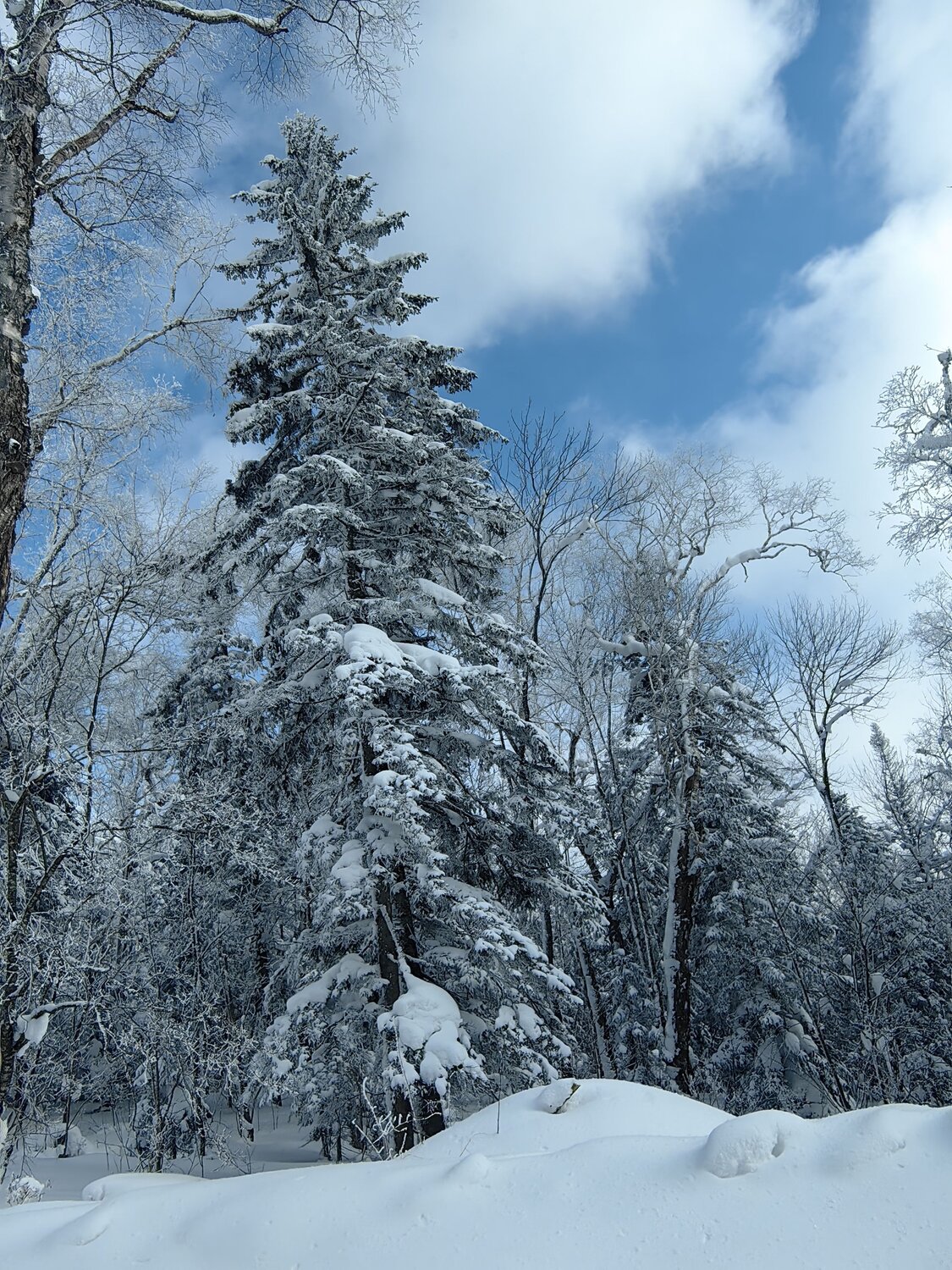 Photo #11842873