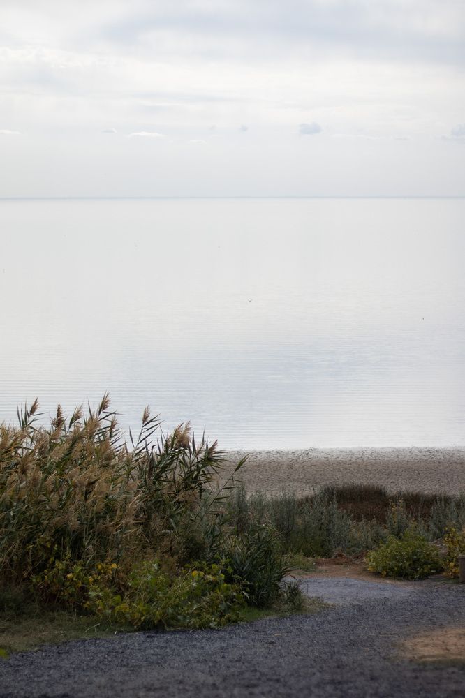 Photograph by Ксения Золотарь