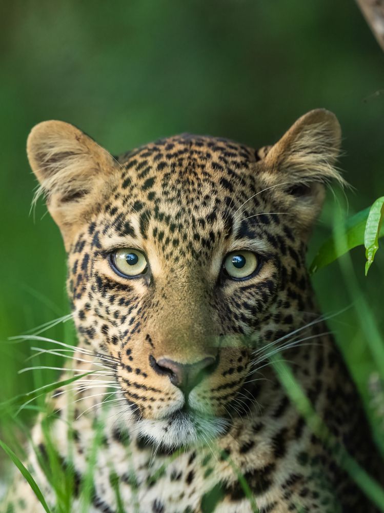 Фотография автора Anand Kumar