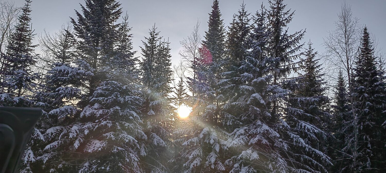 Photo #11842884
