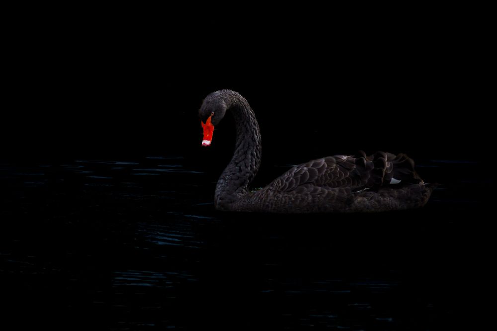 Photograph by Valdis Serzhans