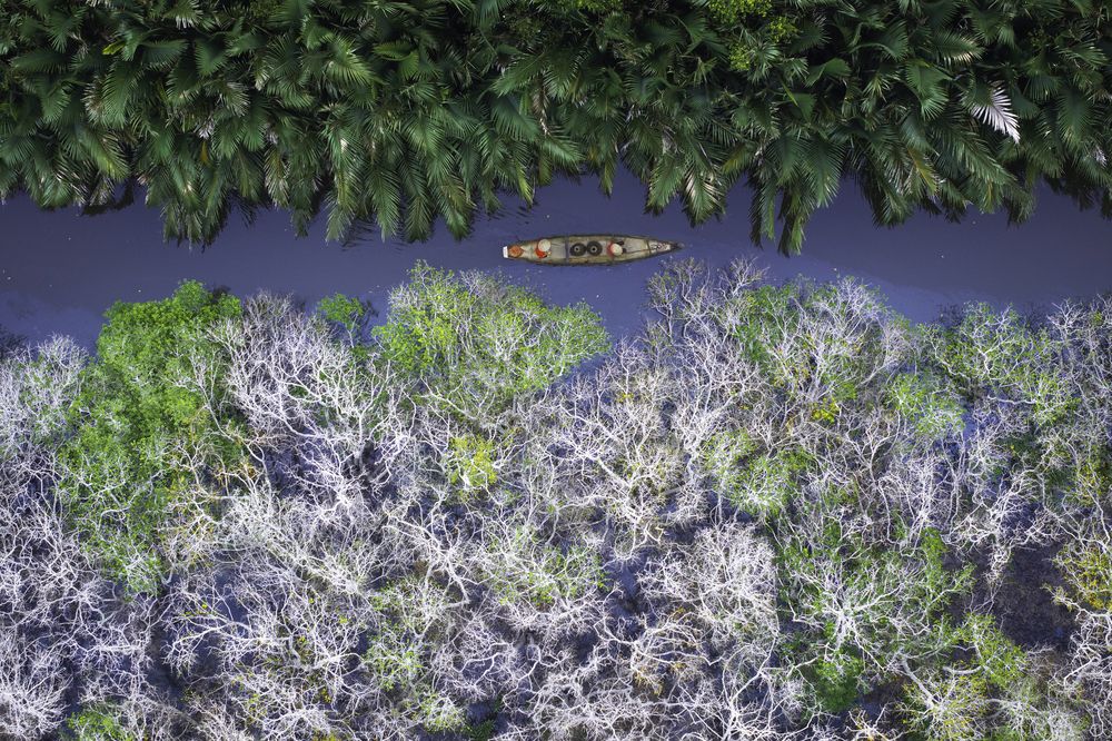 Фотография автора Trieu Nguyen