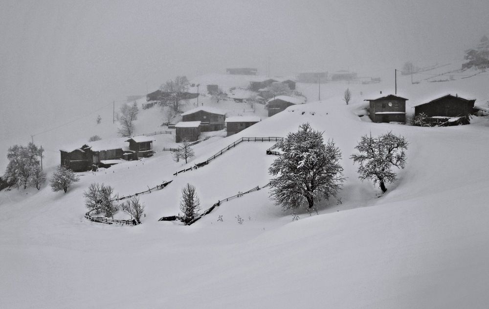 Photograph by Esin Sağır