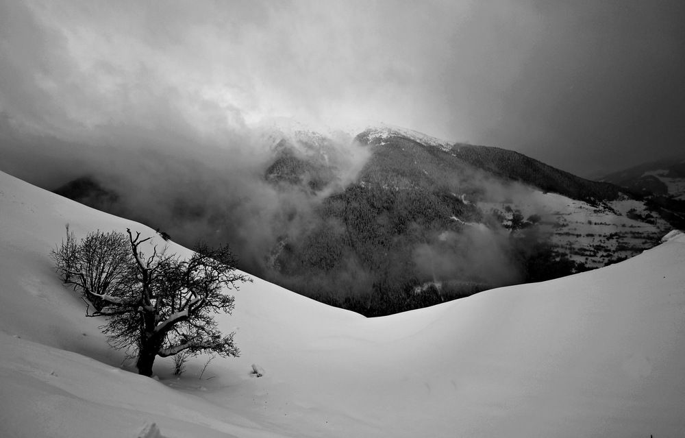 Photograph by Esin Sağır
